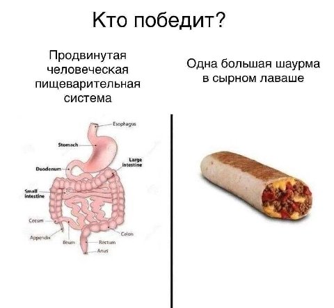 Кто победит? Продвинутая человеческая Одна большая шаурма пищеварительная в сырном лаваше система Esophagus Duodenum _Intestine Small intestine Cecum Colon Appendix Rectum Anus