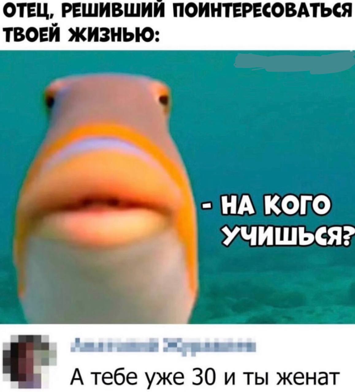 ОТЕЦ, РЕШИВШИЙ ПОИНТЕРЕСОВАТЬСЯ ТВОЕЙ ЖИЗНЬЮ: КОГО УЧИШЬСЯ? А тебе уже 30 и ты женат