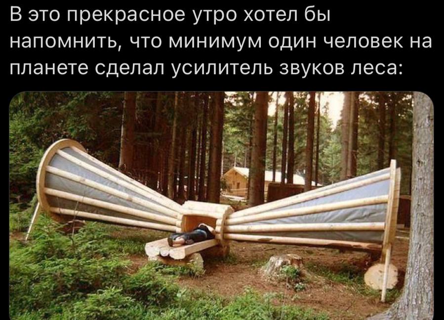 В это прекрасное утро хотел бы напомнить, что минимум один человек на планете сделал усилитель звуков леса: