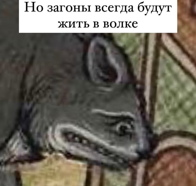 Но загоны всегда будут жить в волке