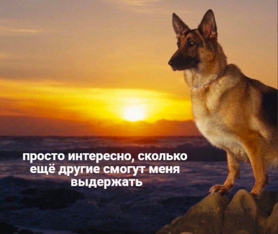 просто интересно, сколько еще другие смогут меня выдержать