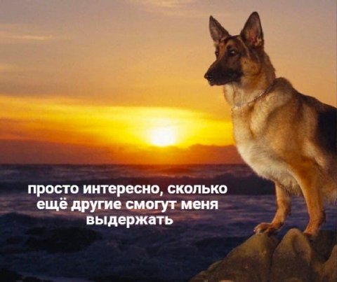 просто интересно, сколько еще другие смогут меня выдержать