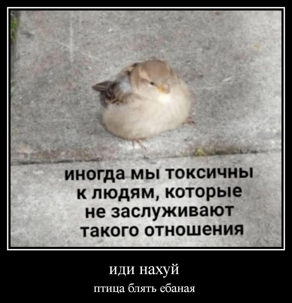 иногда мы токсичны клюдям, которые не заслуживают такого отношения иди нахуй птица блять ебаная