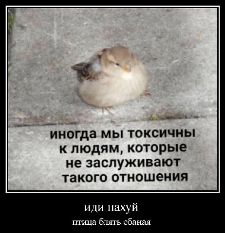 иногда мы токсичны клюдям, которые не заслуживают такого отношения иди нахуй птица блять ебаная