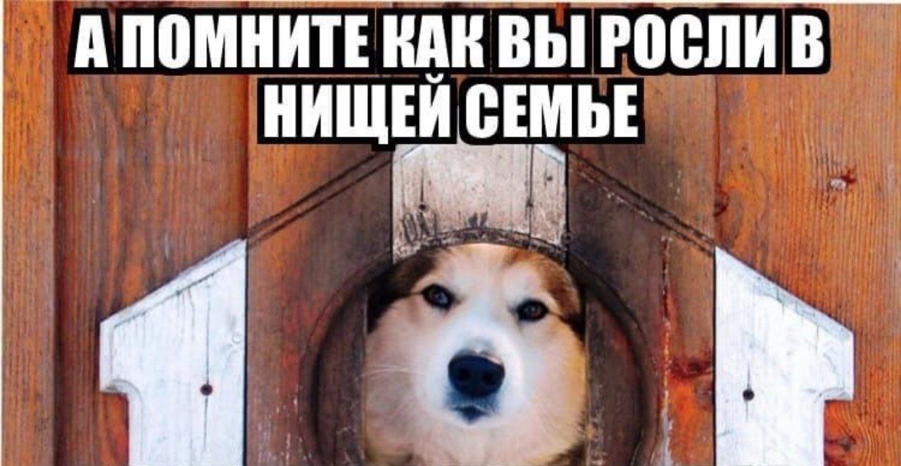 АПОМНИТЕ КАК ВЫ РОСЛИ НИЩЕЙ СЕМЬЕ и