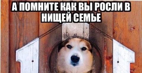АПОМНИТЕ КАК ВЫ РОСЛИ НИЩЕЙ СЕМЬЕ и