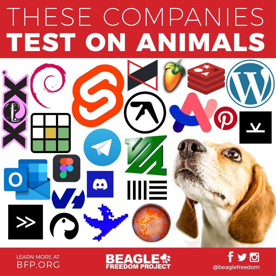 THESE COMPANIES TEST ON ANIMALS lll BEAGLE beaglefreedo