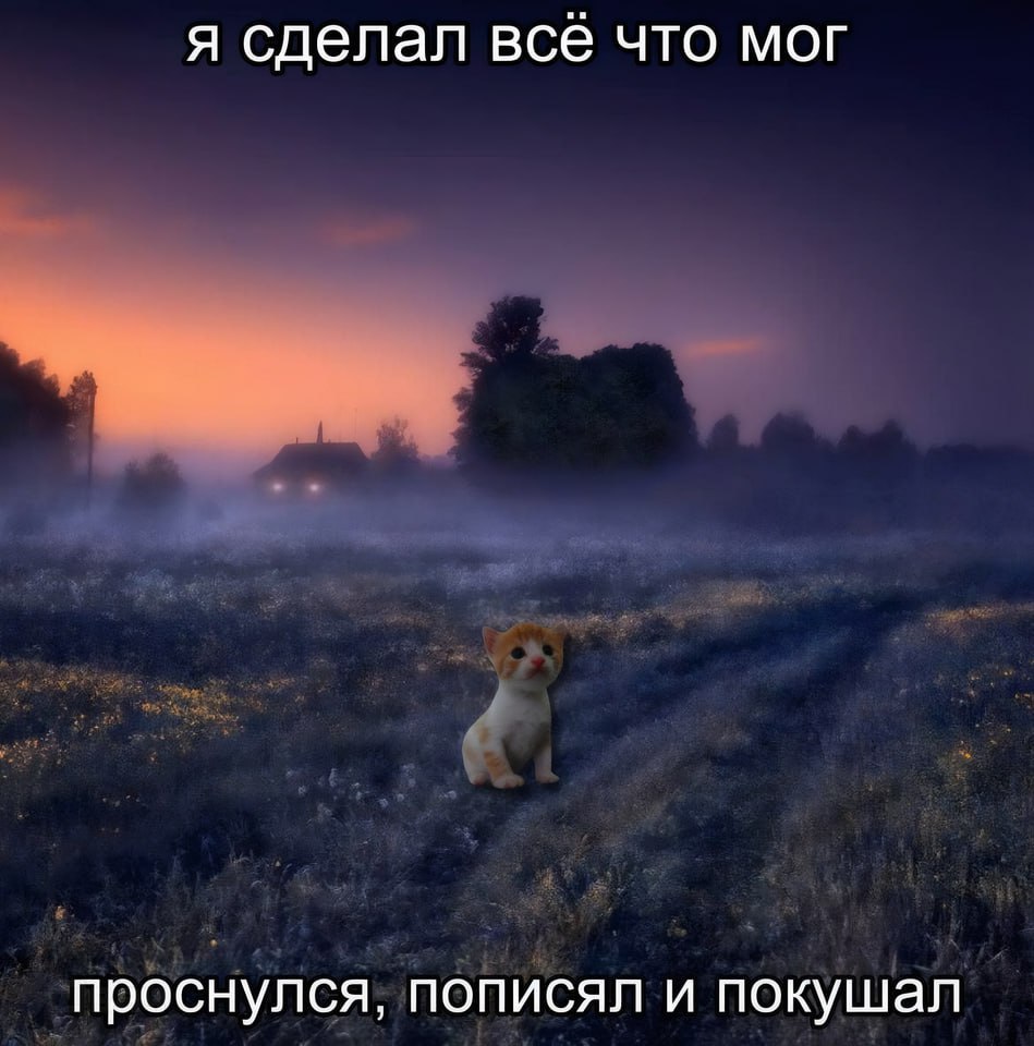 я сделал всё что мог проснулся, пописял и покушал
