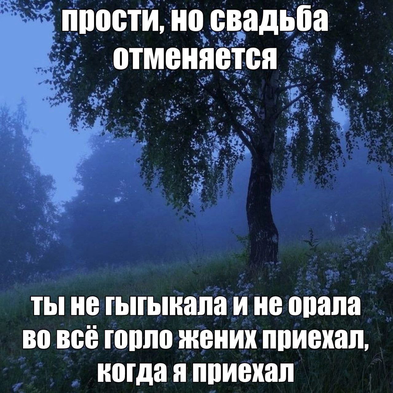 прости, но свадьба отменяется ты не гыгыкала и не орала всё горло жених приехал, когда я приехал