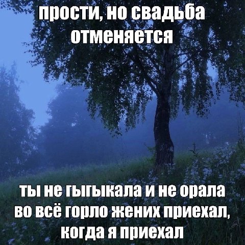 прости, но свадьба отменяется ты не гыгыкала и не орала всё горло жених приехал, когда я приехал