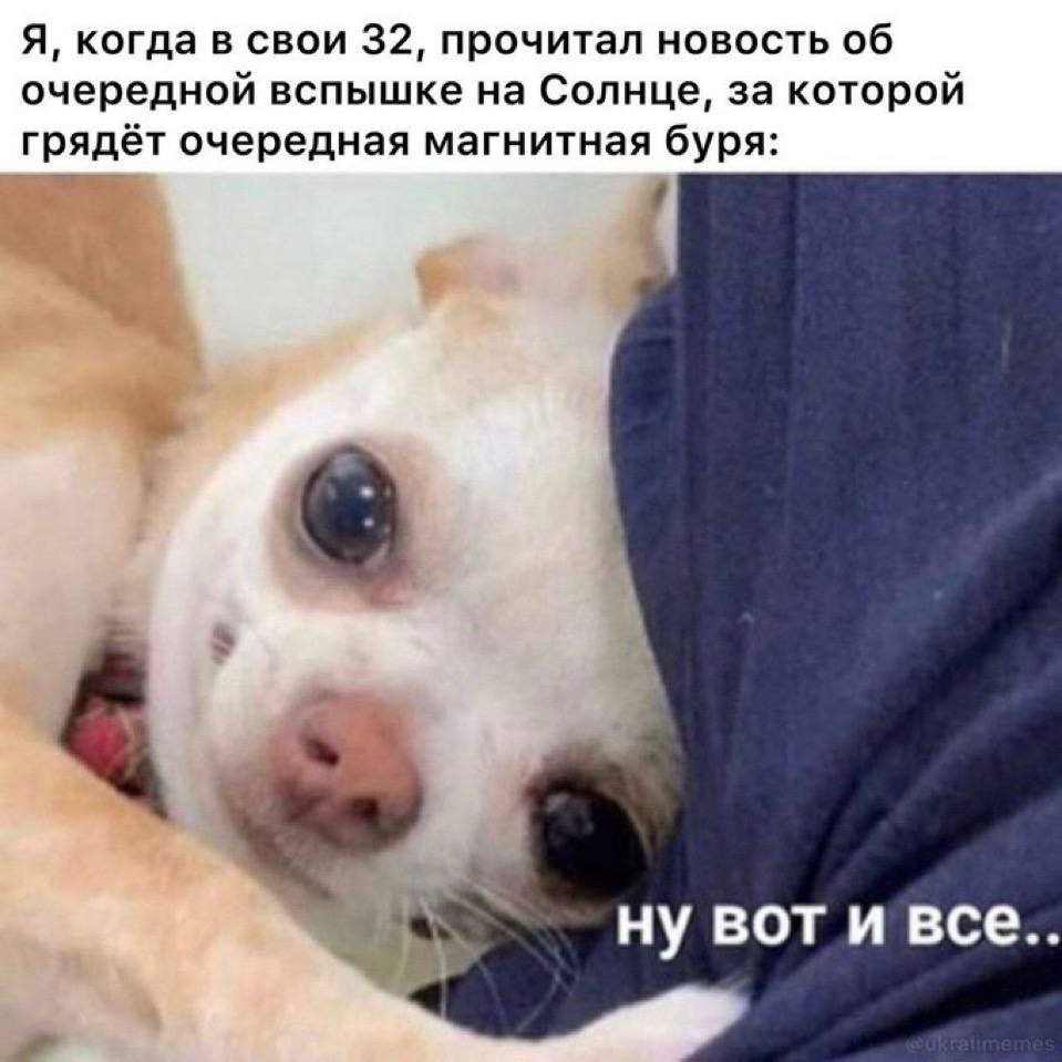 Я, когда в свои 32, прочитал новость об очередной вспышке на Солнце, за которой грядёт очередная магнитная буря: 4 ну вот и все..