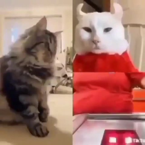 мем