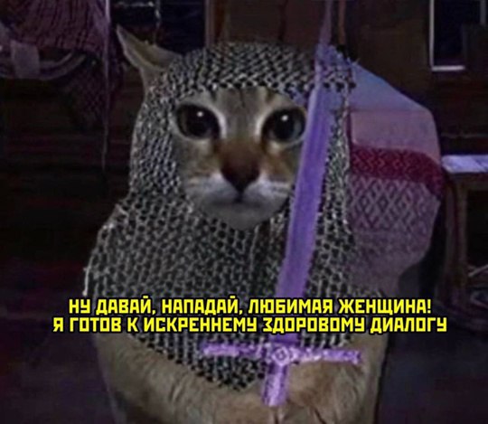 НУ ДАВАЙ, НАПАДАЙ, ЛЮБИМАЯ ЖЕНЩИНА! Я ГОТОВ К ИСКРЕННЕМУ ЗДОРОВОМУ ДИАЛОГУ