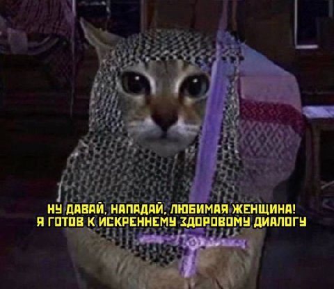 НУ ДАВАЙ, НАПАДАЙ, ЛЮБИМАЯ ЖЕНЩИНА! Я ГОТОВ К ИСКРЕННЕМУ ЗДОРОВОМУ ДИАЛОГУ