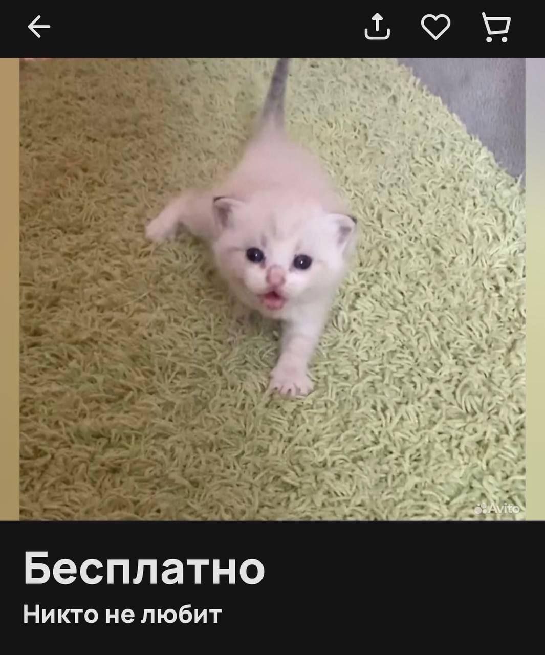 18 У Бесплатно Никто не любит