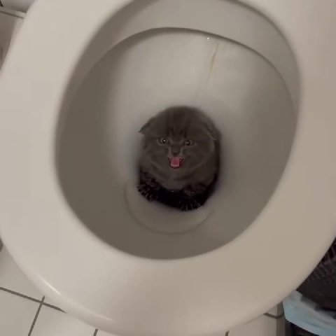 мем