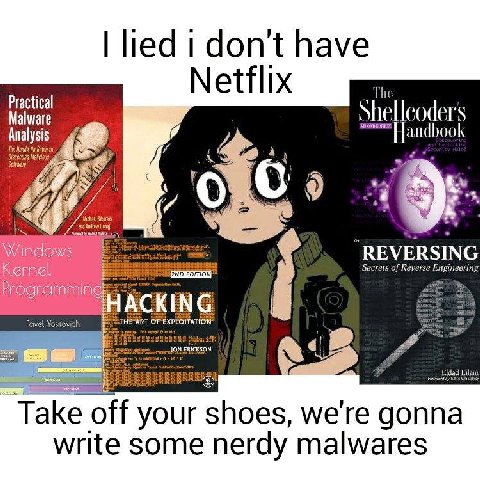 Пед don't have Netflix Practical Malware Shelleoder's Analysis The to if 6 и REVERSING Secrets of Reve Eilan Take off your shoes, we're gonna write some nerdy malwares