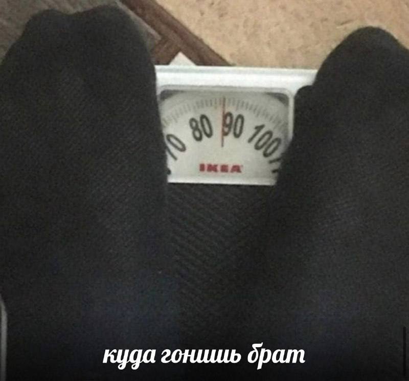 куда гонишь брат