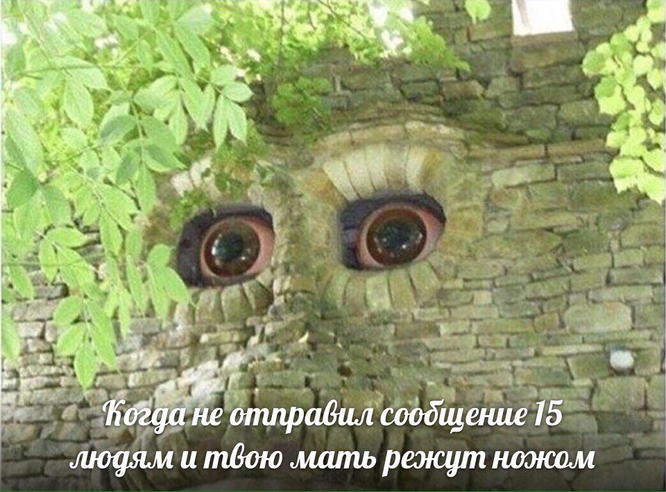 4 “he у не отправил соодщение 15 людям и мать режут