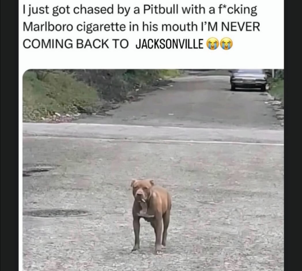just got chased a Pitbull with a f*cking Marlboro cigarette in his mouth NEVER COMING BACK TO JACKSONVILLE