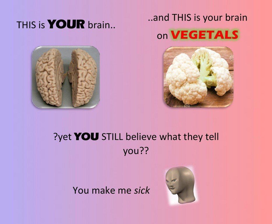 ..апа THIS is your brain THIS is YOUR brain.. YOU STILL believe what they tell You make me sick