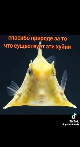 и другие тоже раааааазные всякии