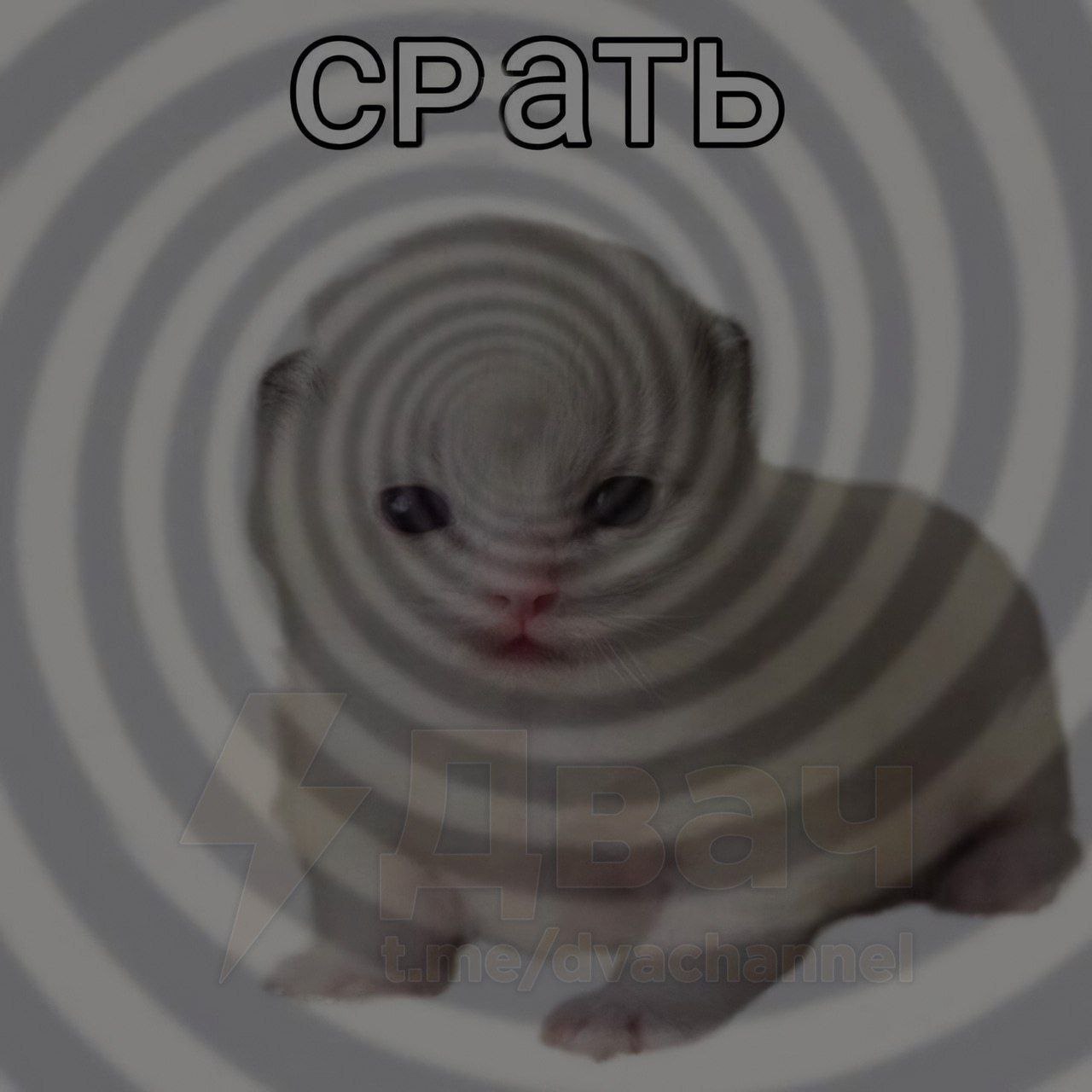 7 3 4 4 7 4 i 5. 2 i 4 7 4 a <i