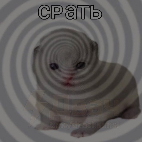 7 3 4 4 7 4 i 5. 2 i 4 7 4 a <i