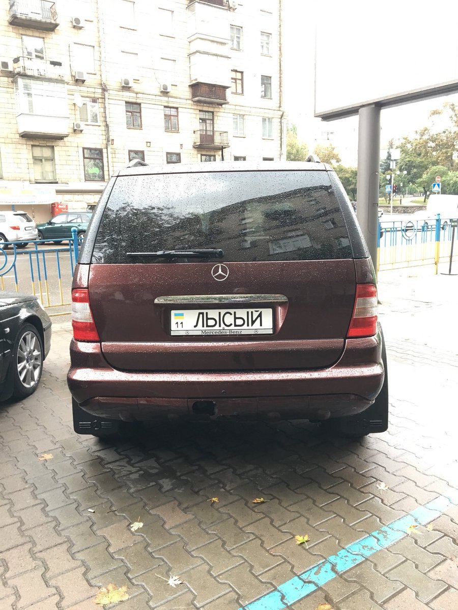 a ЛЫСЫЙ a 5 5
