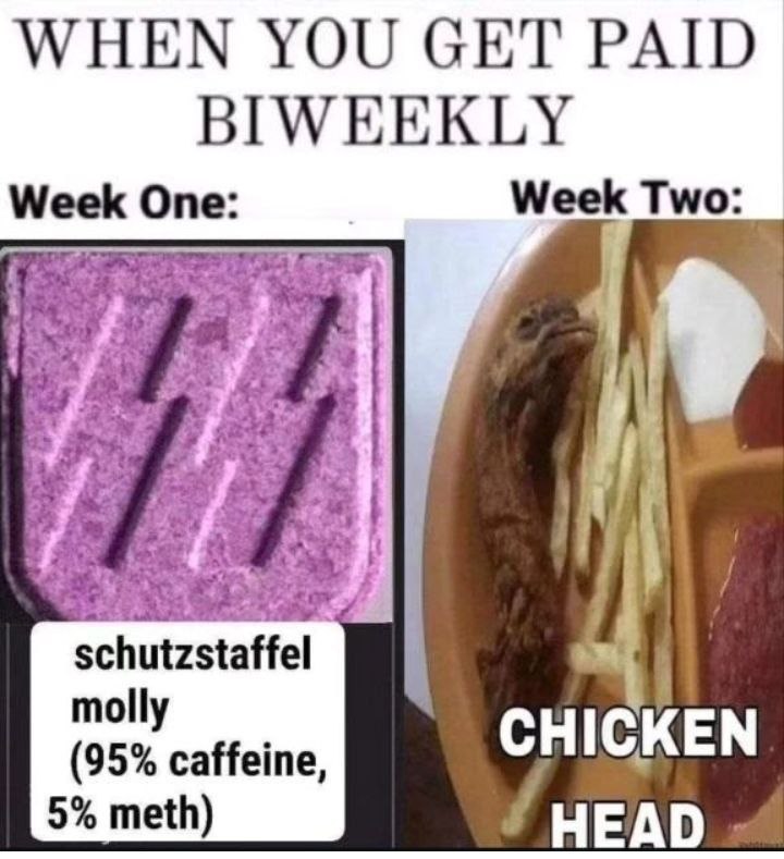 WHEN YOU СЕТ PAID BIWEEKLY Week One: Week Two: schutzstaffel molly (95% caffeine, ICKEN 5% meth) HEAD