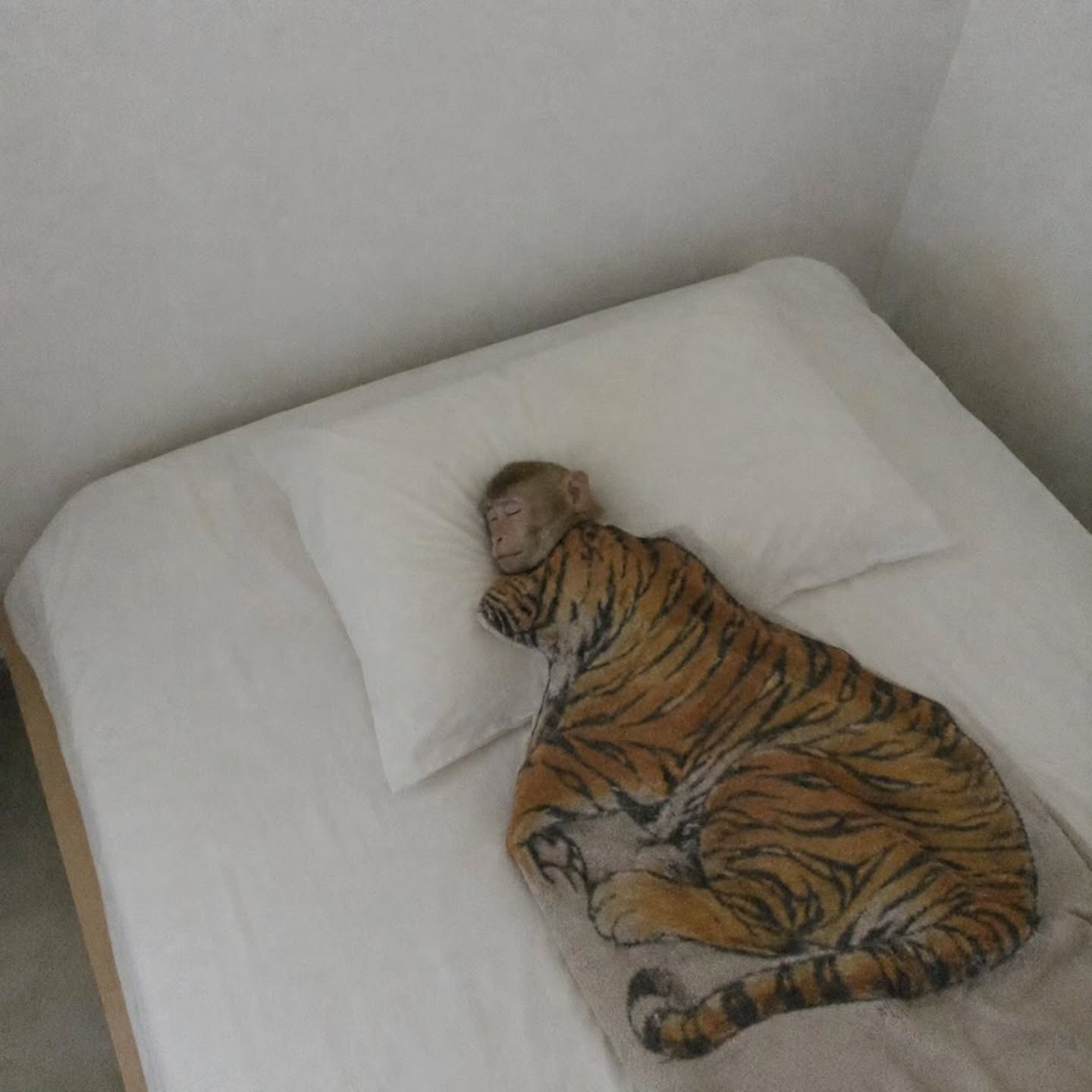 i 1 я 5