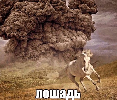 лошадь