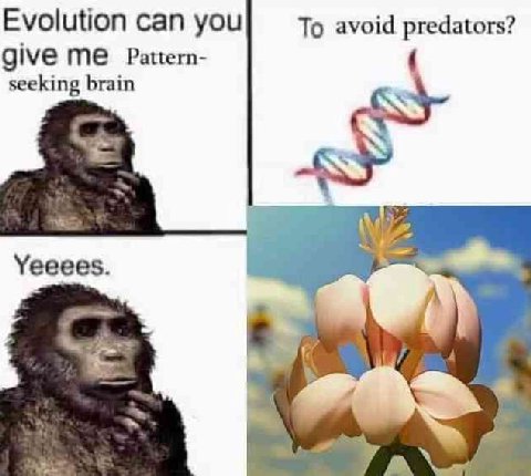 Evolution can you To avoid predators? give Pattern- seeking brain Yeeees.