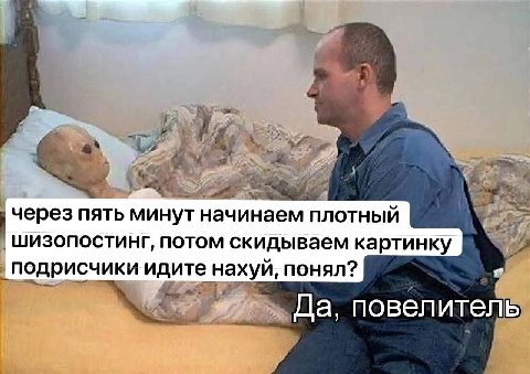 через пять минут начинаем плотный шизопостинг, потом скидываем картинку. подрисчики идите нахуй, понял? Да, повелитель