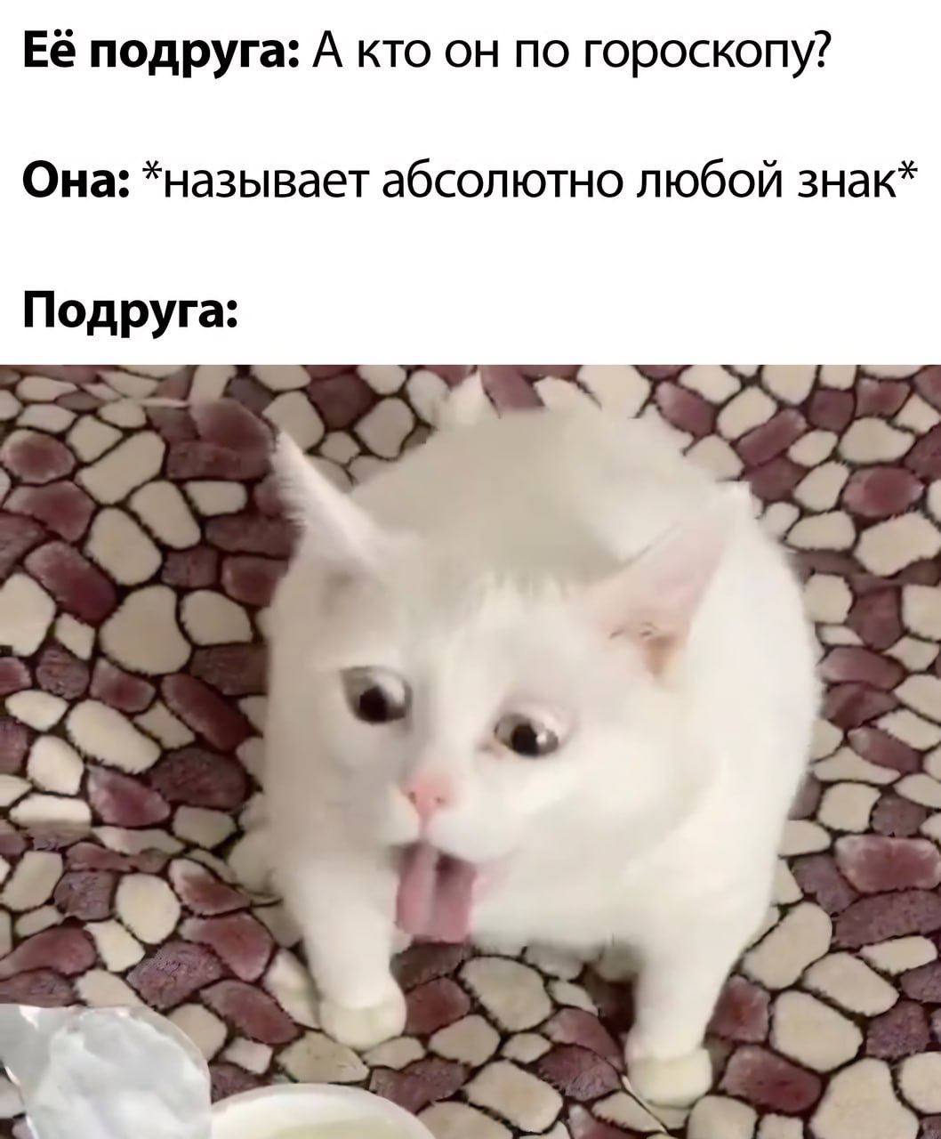 Её подруга: А кто он по гороскопу? Она: *называет абсолютно любой знак* Подруга: с a