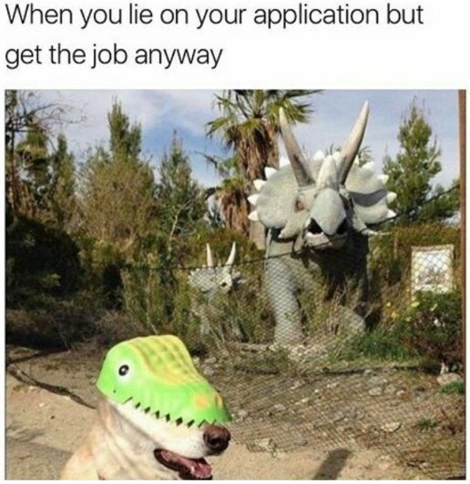 When you lie on your application but the job