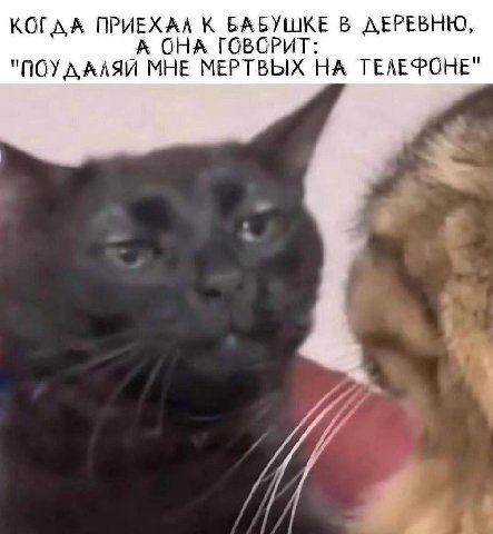 ПРИЕХАЛ К БАБУШКЕ В ДЕРЕВНЮ, ОНА ГОВОРИТ: "NOY МНЕ МЕРТВЫХ НА ТЕЛЕФОНЕ" a