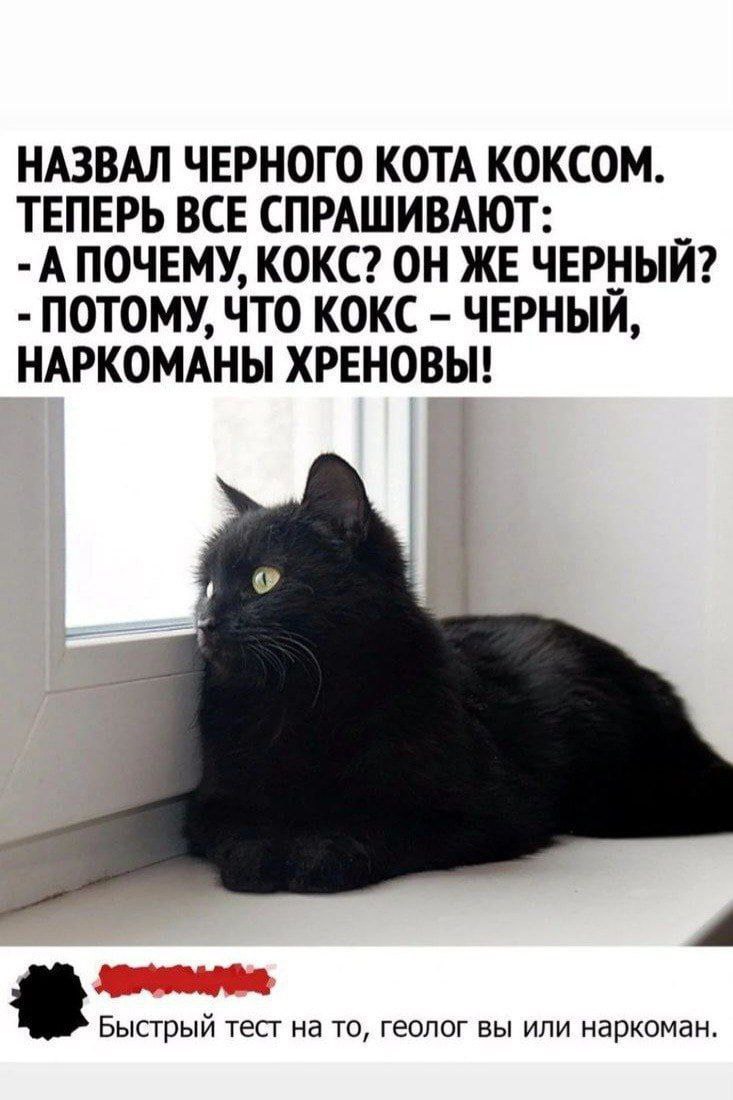 НАЗВАЛ ЧЕРНОГО КОТА КОКСОМ ТЕПЕРЬ ВСЕ СПРАШИВАЮТ: А ПОЧЕМУ, КОКС? ОН ЖЕ ЧЕРНЫЙ? ПОТОМУ, ЧТО КОКС ЧЕРНЫЙ, НАРКОМАНЫ ХРЕНОВЫ! Быстрый тест на то, геолог вы или наркоман