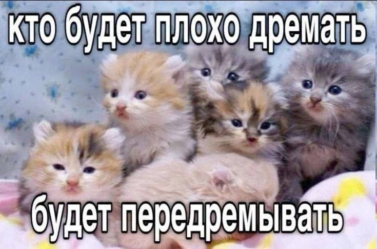 кто будет плохо дремать