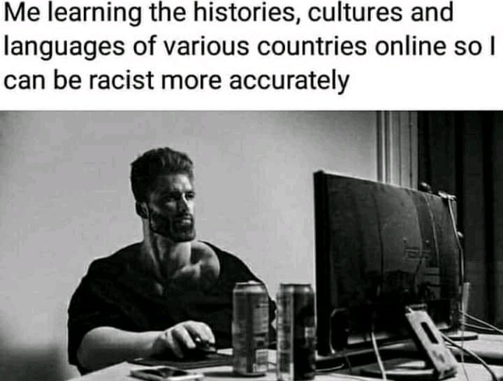 Me learning the histories, cultures and languages of various countries online so can be racist more accurately