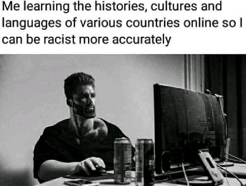 Me learning the histories, cultures and languages of various countries online so can be racist more accurately