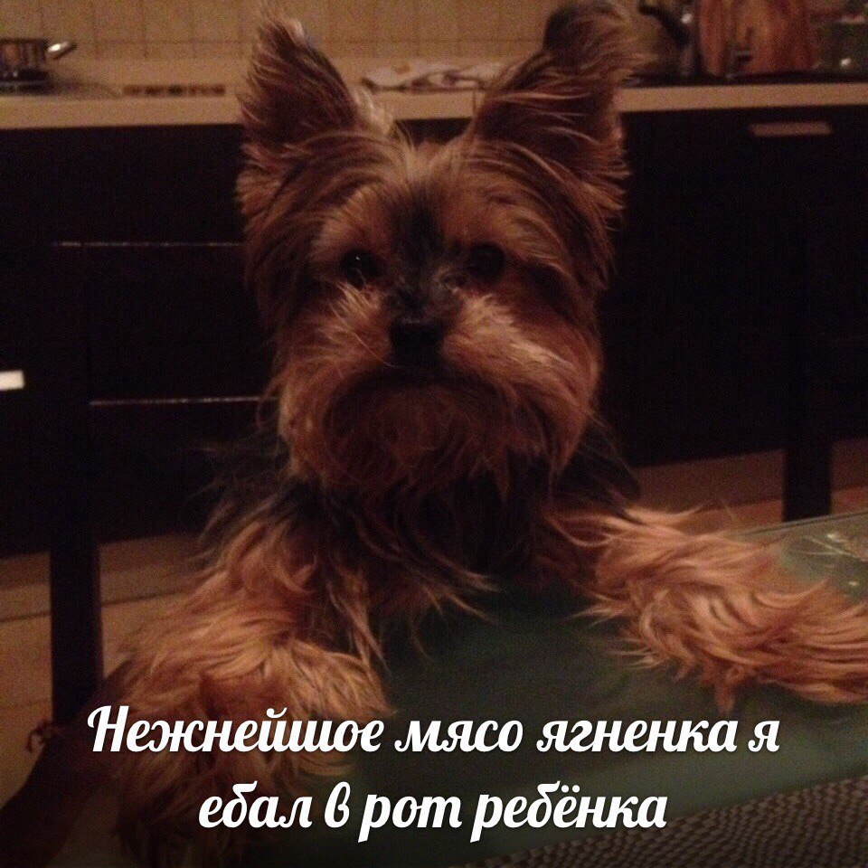 Нежнейшое мясо ягненка я ебал 6 рот ребёнка