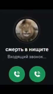 смерть в нищите Входящий звонок.