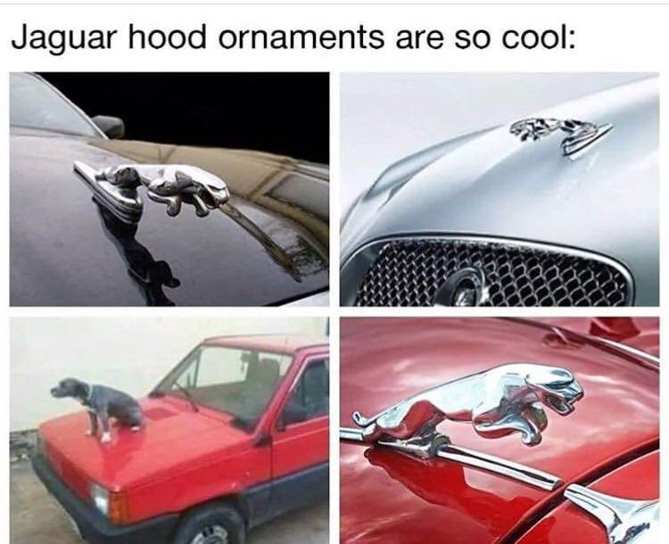 Jaguar hood ornaments are so cool: 74