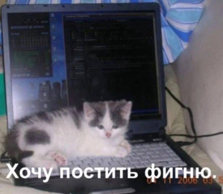 Хочу постить фигню.