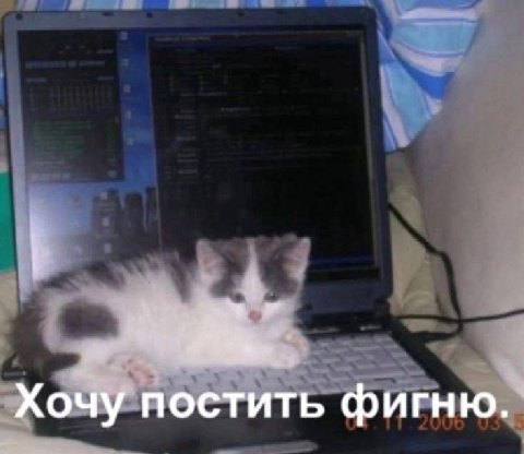Хочу постить фигню.