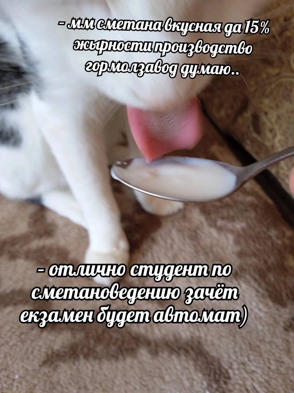 отлично студент по сметановедению зачёт екзамен будет