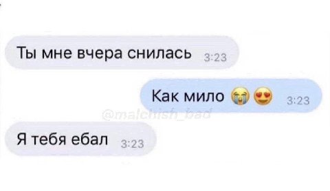Ты мне вчера снилась Как мило Я тебя ебал