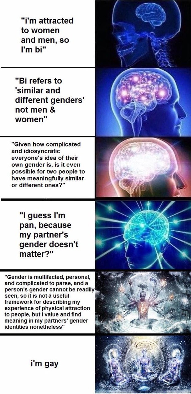 attracted to women and men, so У. refers to ‘similar and different not men women" у 4 “Given how complicated and idiosyncratic everyone's idea of their own gender is, is it even possible for two peopl
