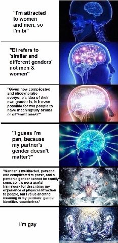 attracted to women and men, so У. refers to ‘similar and different not men women" у 4 “Given how complicated and idiosyncratic everyone's idea of their own gender is, is it even possible for two peopl